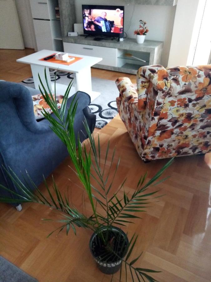 פירוט Apartman Maca מראה חיצוני תמונה