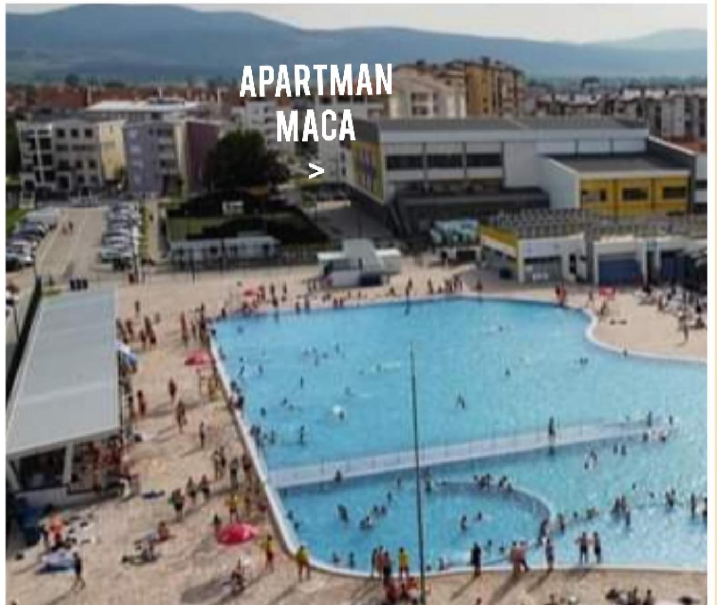 פירוט Apartman Maca מראה חיצוני תמונה